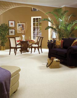carpet flooring in west chester, oh